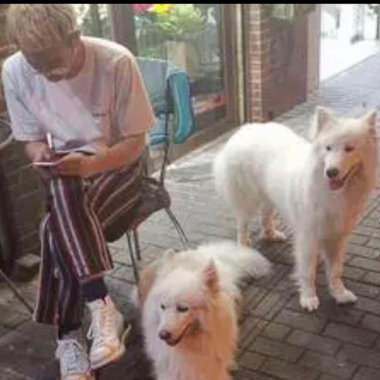 头像